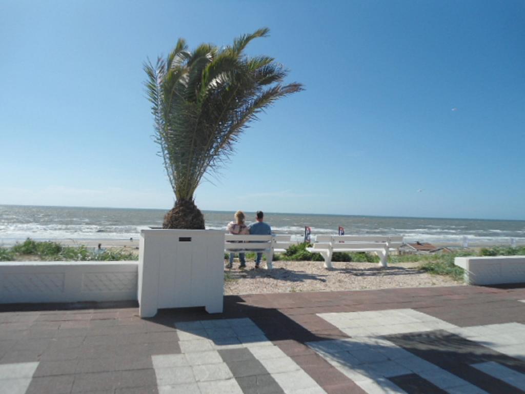 Halte71 Lägenhet Zandvoort Exteriör bild